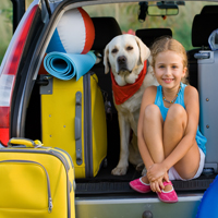 Baltimore Car Accident Lawyers offer safety tips when traveling with pets. 