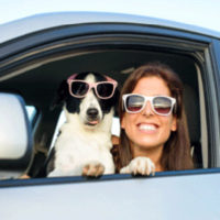 Baltimore car accident lawyers discuss why pets should be restrained in the car.